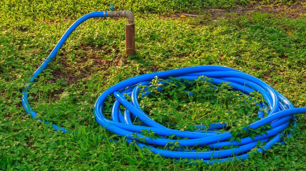 mangueira de jardim - mangueira de borracha