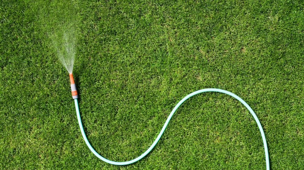 garden watering1