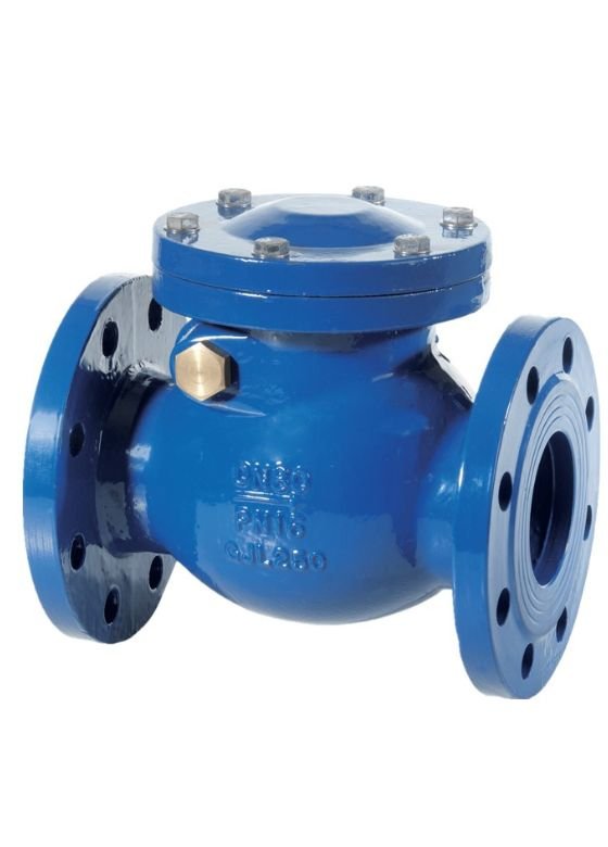check valve