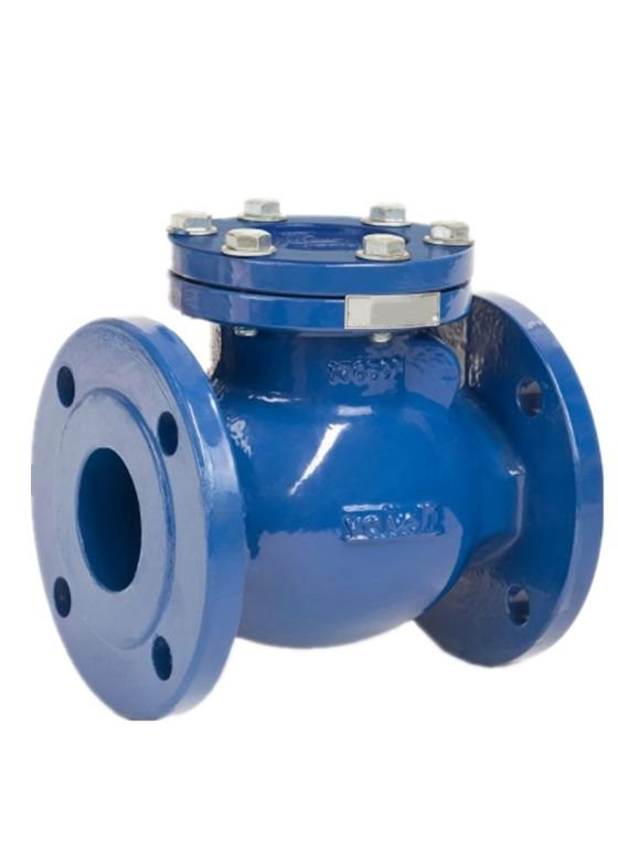 check valve
